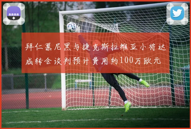 拜仁慕尼黑与捷克斯拉维亚小将达成转会谈判预计费用约100万欧元