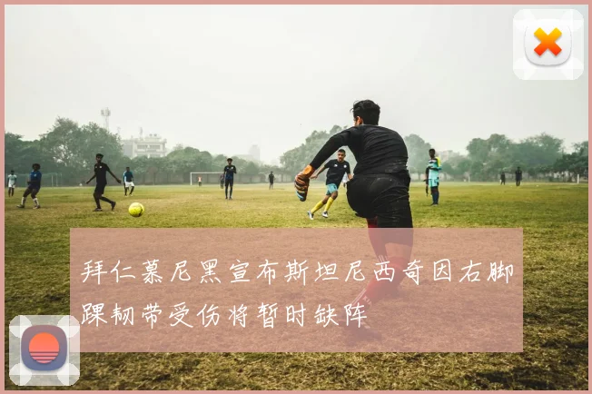 拜仁慕尼黑宣布斯坦尼西奇因右脚踝韧带受伤将暂时缺阵